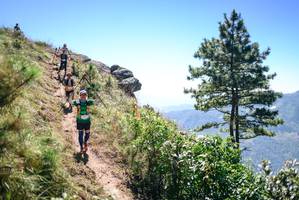 BIB: 
                            <button type="button" onclick="openModal(26607477)" class="btn btn-primary btn-sm float-right btn-popup" data-toggle="modal" data-target=".modal-high-quality">
                        <i class="fas fa-shopping-cart"></i> Add to Cart
                    </button>
                                            <button type="button" onclick="isThisMe(26607477, true)" class="btn btn-success btn-sm float-right btn-popup btn-isme hidden" data-toggle="tooltip" data-placement="bottom" title="นี่คือรูปของคุณใช่ไหม คลิกที่นี่เพื่อเอาเข้าอัลบั้ม">
                        <i class="fas fa-plus"></i> Add to album
                    </button>
                    <button type="button" onclick="isThisMe(26607477, false)" class="btn btn-warning btn-sm float-right btn-popup btn-isnotme hidden">
                        <i class="fas fa-ban"></i> Remove from album
                    </button>